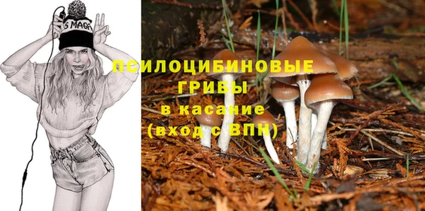 MDMA Богданович