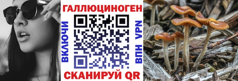 Галлюциногенные грибы Cubensis Екатеринбург